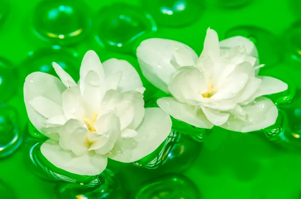 Deliciosas flores de jazmín blanco flotando en el agua — Foto de Stock