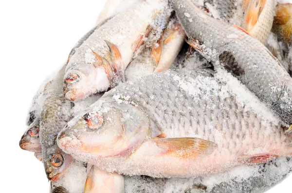 Tiefgefrorener Fisch — Stockfoto