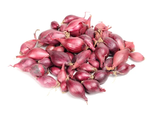 stock image Red Onion Set