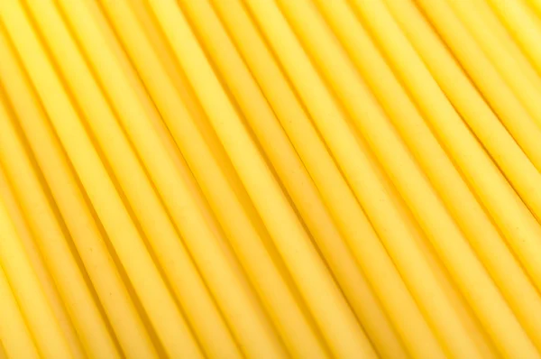 Bucatini Pasta Close-Up — Stock Photo, Image