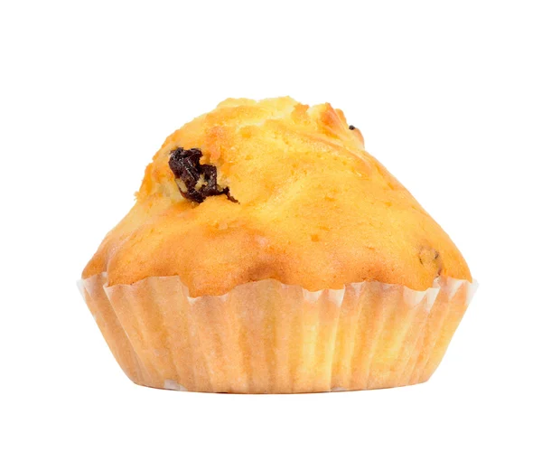 Rosinen-Cupcake isoliert auf weißem Hintergrund — Stockfoto