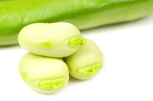 Grüne dicke (fava) Bohnen — Stockfoto