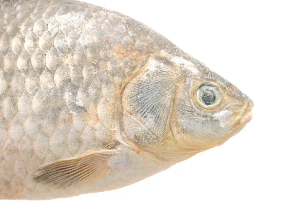 Fryst babushkas karp fisk — Stockfoto