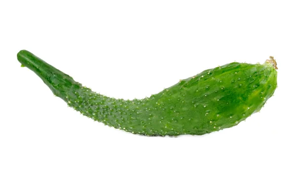 Yeşil Çince salatalık — Stok fotoğraf