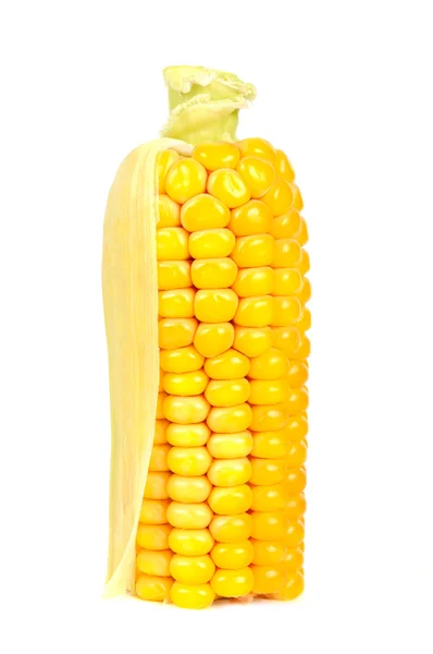 Maïs op de kolf geïsoleerd op witte achtergrond — Stockfoto