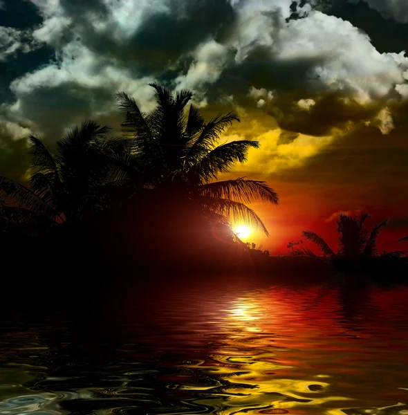 Tropische zonsondergang met palm bomen silhouet op strand — Stockfoto