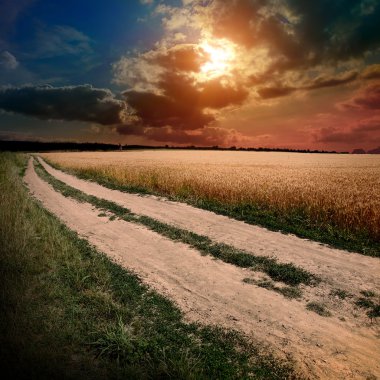 Ground road at sunset clipart