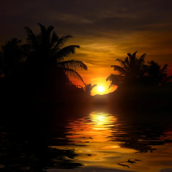 Gün batımında tropik avuç içi — Stok fotoğraf