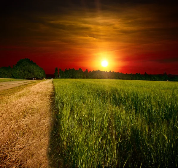 Marken road vid solnedgången — Stockfoto