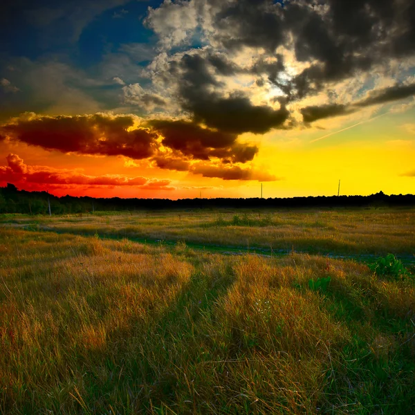 Gün batımında yeşil alan — Stok fotoğraf