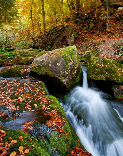 Mountain stream in the Ukrainian Carpathians — Stock Photo, Image