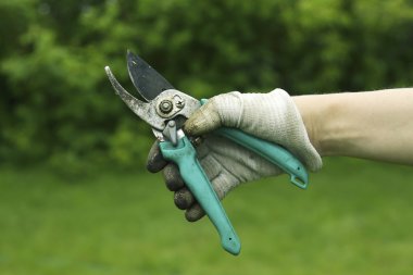 Secateurs in the hand clipart