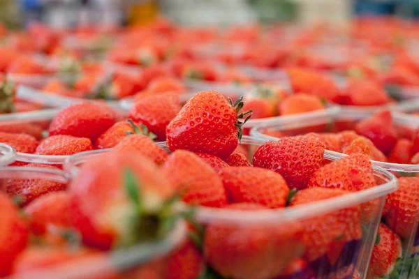 stock image Strawberries