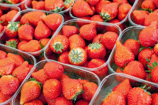 stock image Strawberries