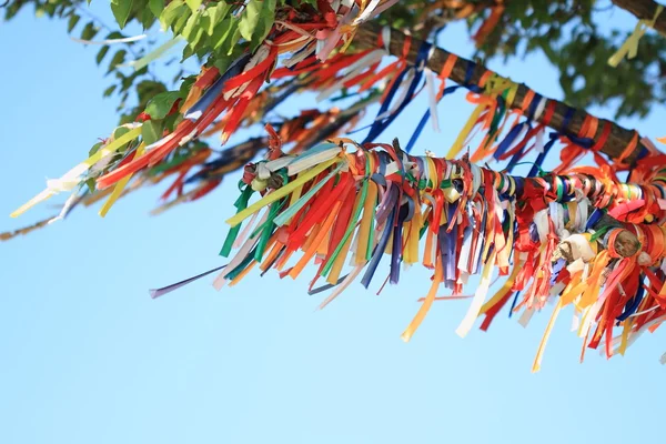 stock image Tapes on a branch