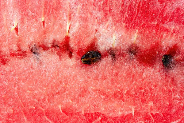 Vannmelon – stockfoto