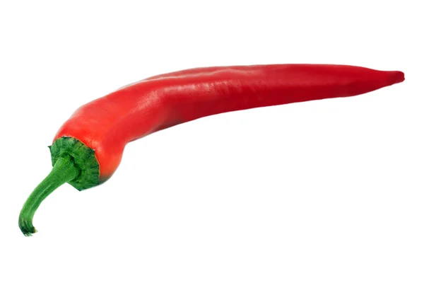 Peppar chili — Stockfoto