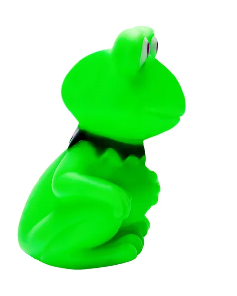 Typ žába zelená strana — Stock fotografie