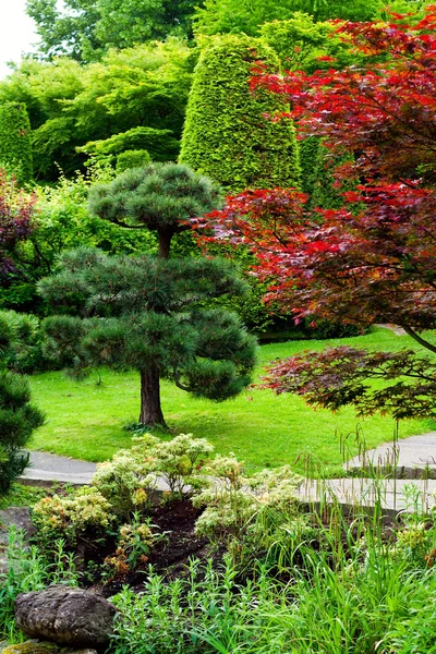 Garden background — Stock Photo, Image