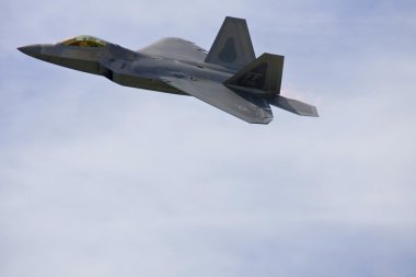 F22 Raptor Fighter