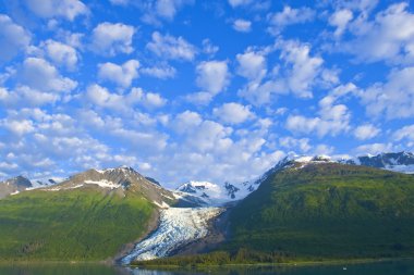 Alaska's Glacier Bay clipart