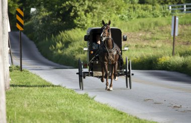 Horse with the carrige running to the village clipart