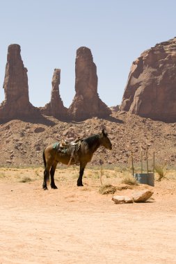 at. Monument valley