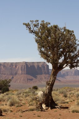 Monument valley. ABD