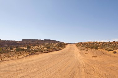 Arizona çölü. ABD