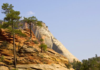 Zion national park