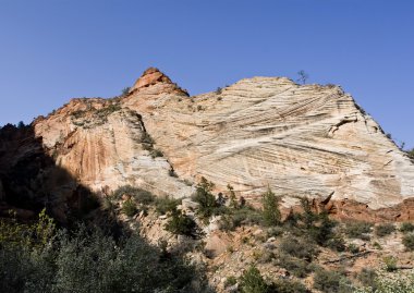 Zion national park