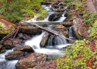 Forest waterfall in Helen Georgia clipart