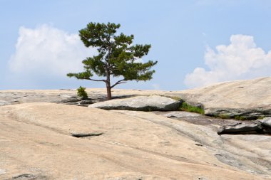 Top of Stone Mountain, Atlanta, Georgia. clipart