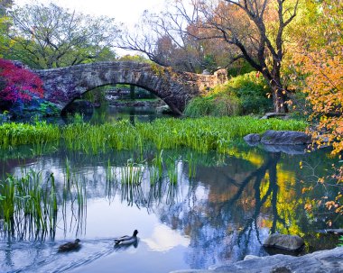 Central park, new york. güzel şehirde güzel park.