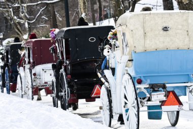 Horse Carriages clipart