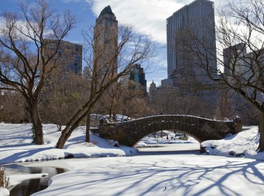 Central park, new york. güzel şehirde güzel park.