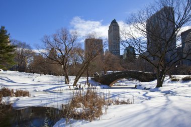 Central park, new york. güzel şehirde güzel park.