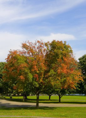 Sonbahar Parkı