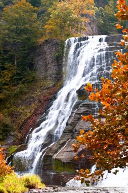 Finger lakes region waterfall in the autumn clipart