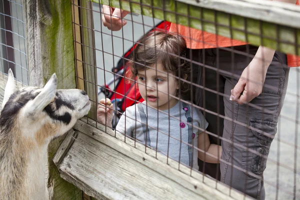 Κορίτσι στο ζωολογικό κήπο — Φωτογραφία Αρχείου