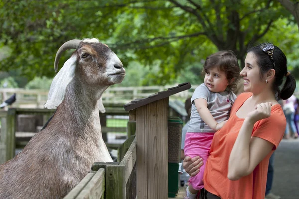 Állatsimogató. Anya és lánya az állatkertben — Stock Fotó