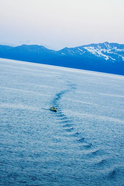 놀라운 알래스카 — 스톡 사진