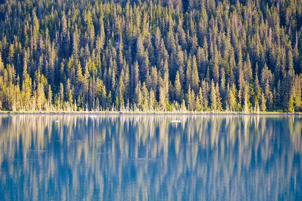 Erstaunliche alaska — Stockfoto