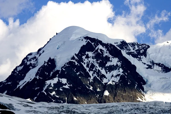 驚くべきアラスカ — ストック写真