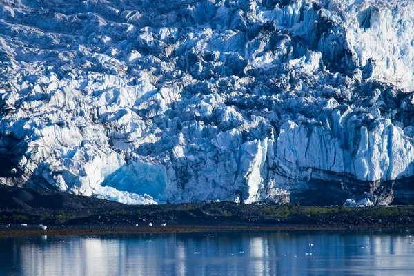 Baía Glaciar do Alasca — Fotografia de Stock