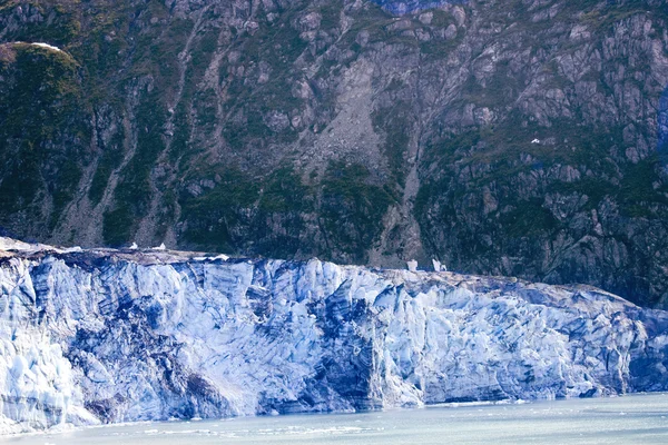알래스카의 빙하 베이 — 스톡 사진