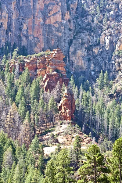 stock image Mountains of Arizona