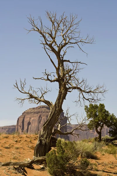 Monument Valley. Estados Unidos — Fotografia de Stock