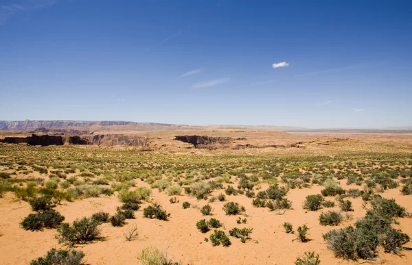 Ørken - Stock-foto