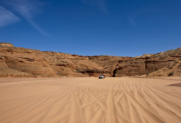 stock image Desert.